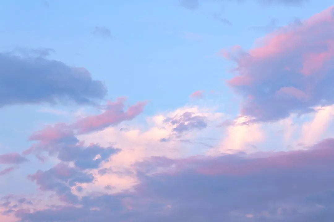 1700137842611739.jpg