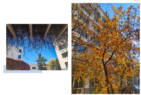 联想截图_20250107113159.png