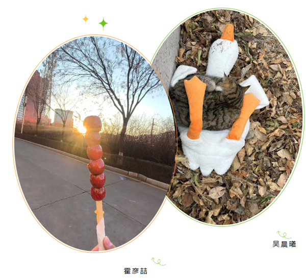 联想截图_20250107113211.png