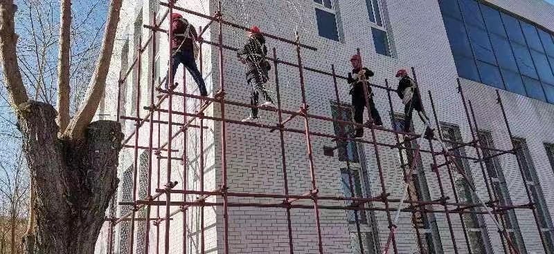 1683252321979145.jpg