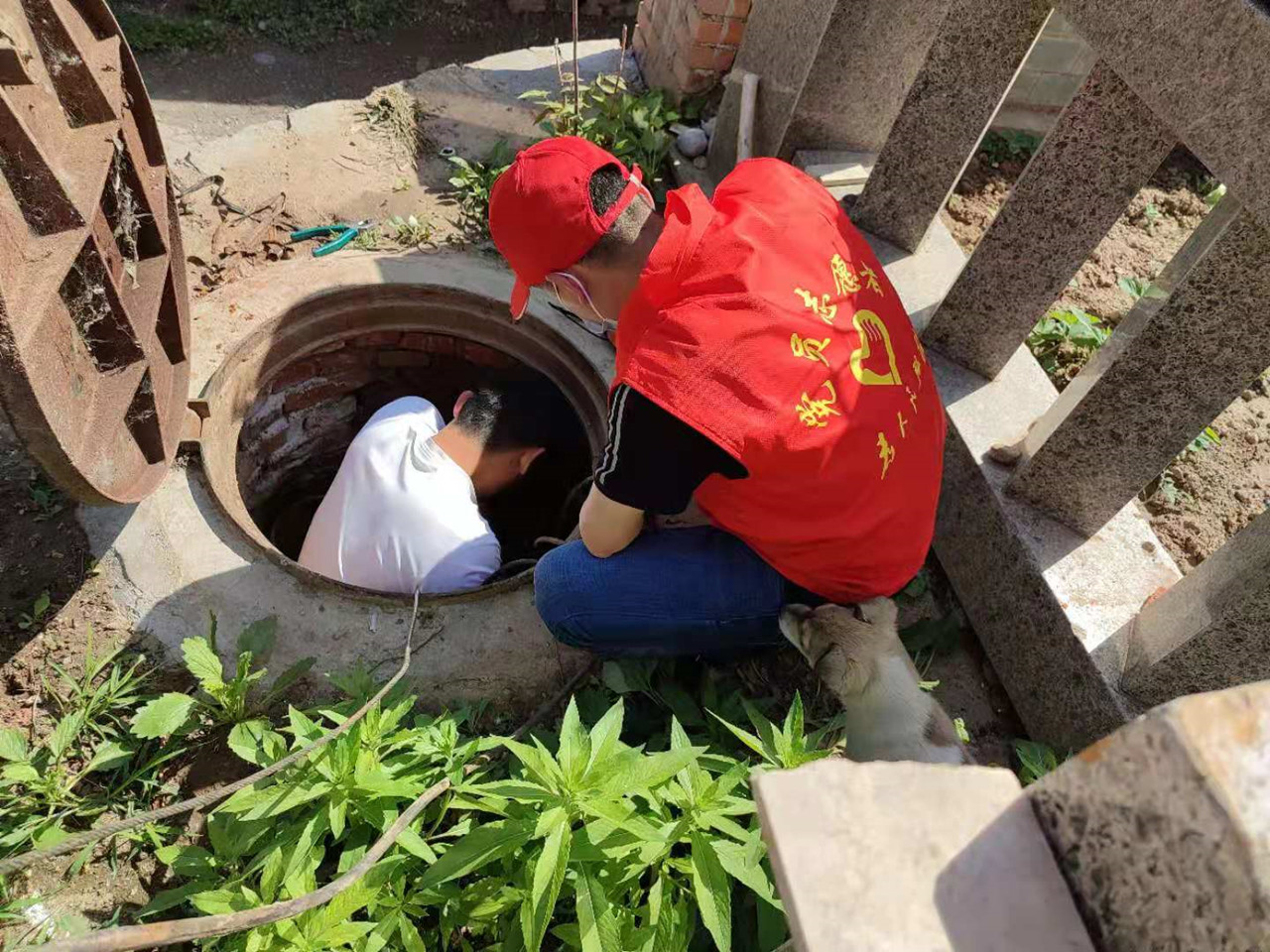 图8_副本.jpg