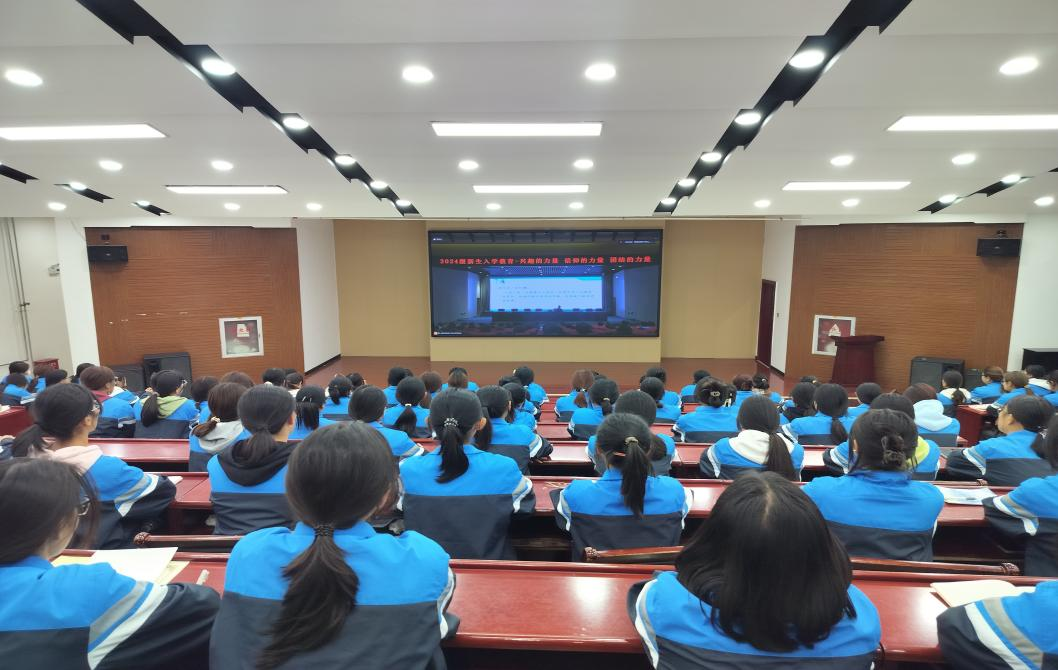 图片33.png